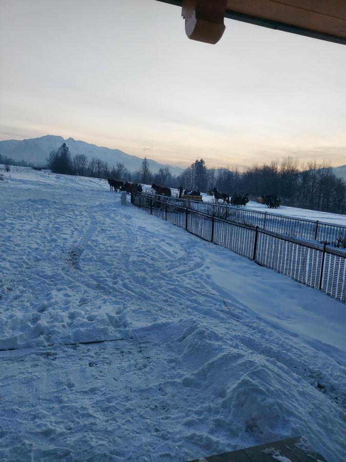 Domek Zakopane Tatrzanski Kacik Apartzakop Bagian luar foto