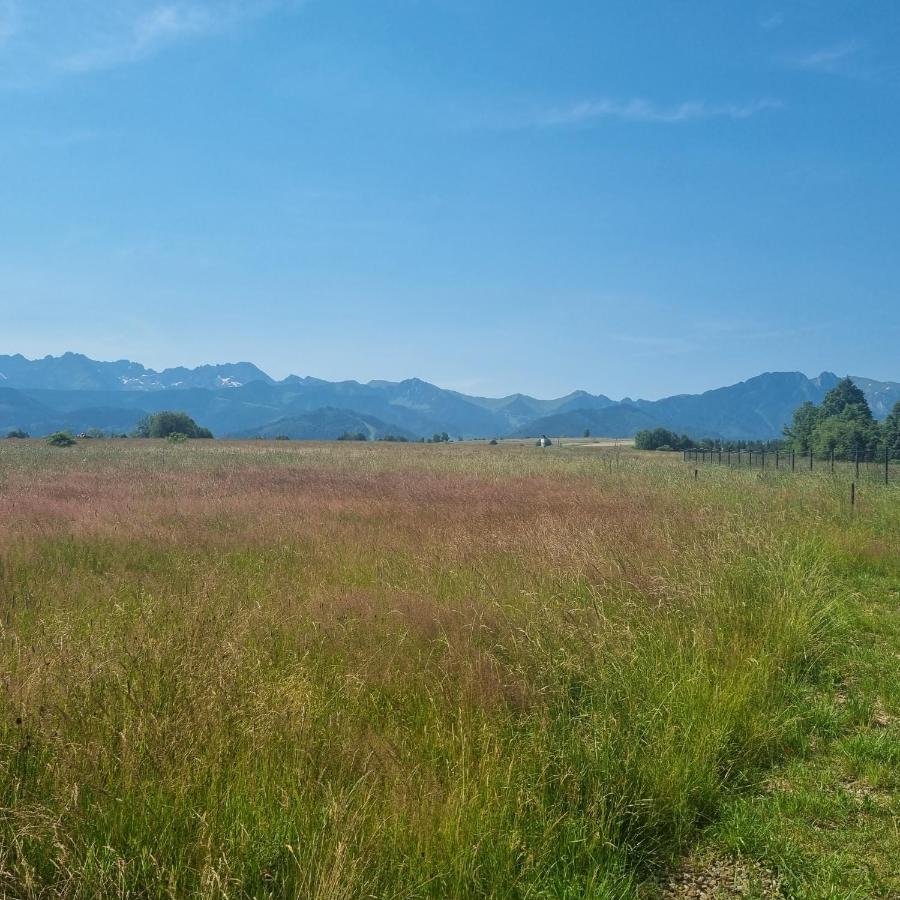 Domek Zakopane Tatrzanski Kacik Apartzakop Bagian luar foto